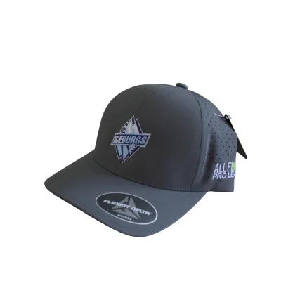 AFPL Official St. Pete IceBurgs Team Snapback Hat | Flexfit Delta Adjustable Cap